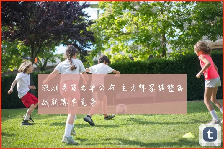 深圳男篮名单公布 主力阵容调整备战新赛季竞争