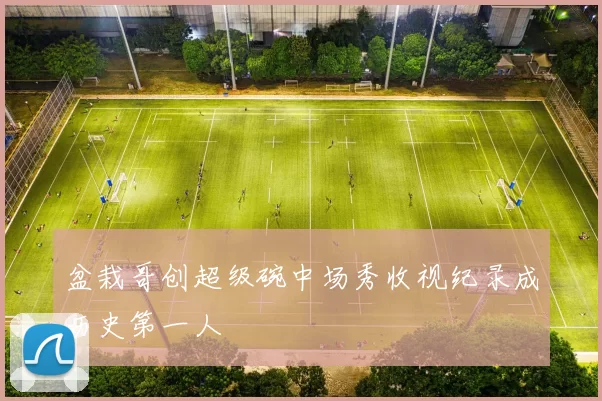 盆栽哥创超级碗中场秀收视纪录成历史第一人