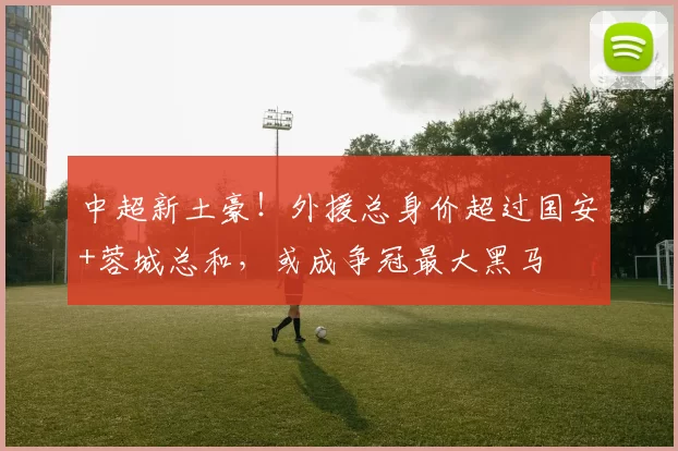 中超新土豪！外援总身价超过国安+蓉城总和，或成争冠最大黑马