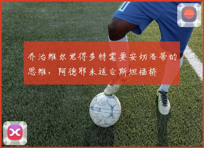 乔治维尔觉得多特需要安切洛蒂的思维，阿德耶米适合斯坦福桥