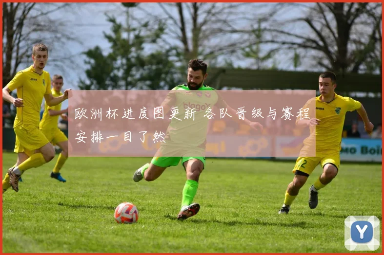 欧洲杯进度图更新 各队晋级与赛程安排一目了然